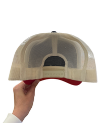 USA 250 Snapback