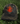 MID Camo Adjustable Hat